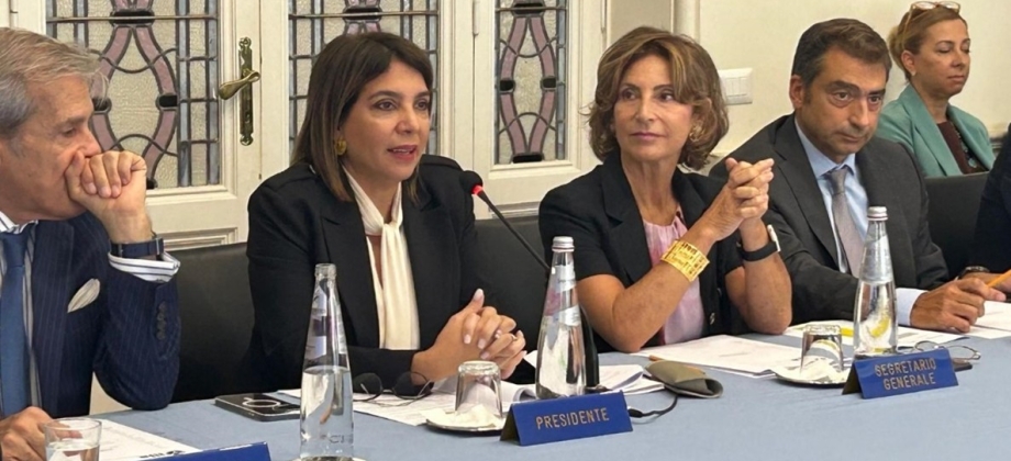 Elección de la Embajadora Ligia Margarita Quessep Bitar como Presidenta del Consejo de Delegados y del Comité Ejecutivo de (IILA)