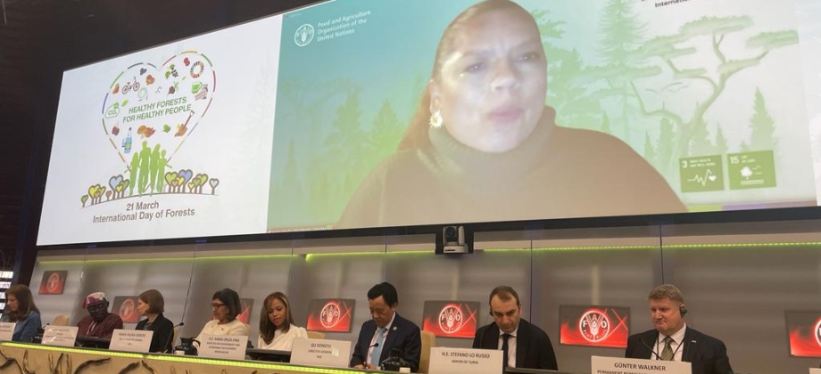 Viceministra de Políticas y Normalización Ambiental, Sandra Vilardy, participó en la Celebración del Dia de los Bosques en la FAO 