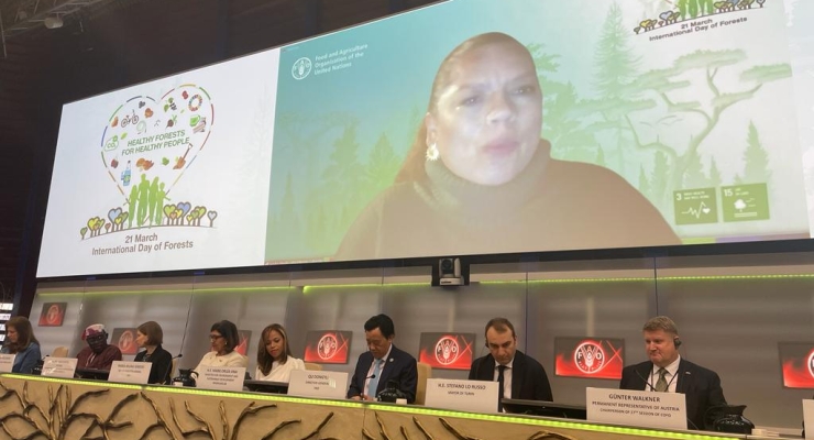 Viceministra de Políticas y Normalización Ambiental, Sandra Vilardy, participó en la Celebración del Dia de los Bosques en la FAO 