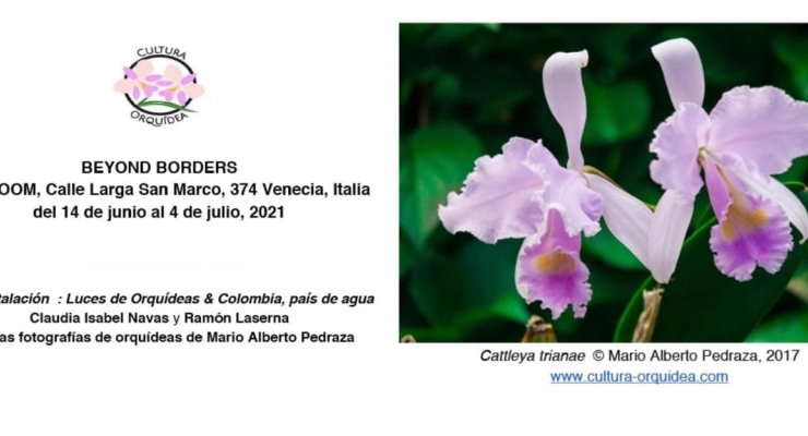 Colombia se destaca en Venecia como un país de orquídeas y agua